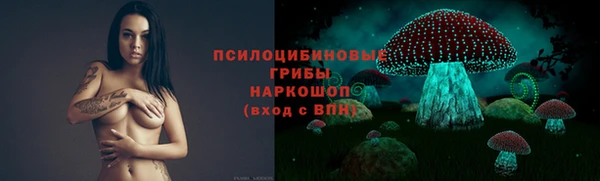 дурь Балахна