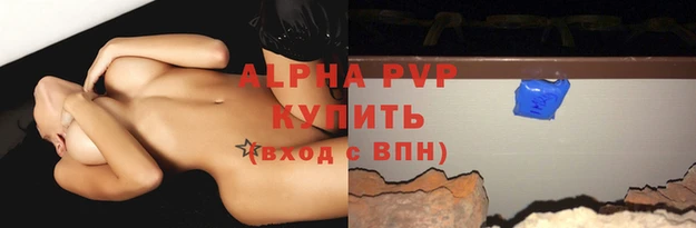 прущие грибы Покачи