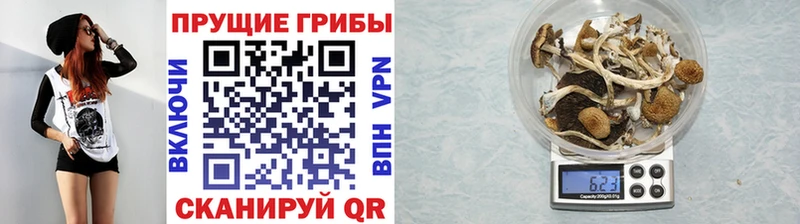mega ссылка  Нарьян-Мар  Псилоцибиновые грибы прущие грибы  купить  