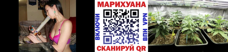 Шишки марихуана семена купить наркотик Нарьян-Мар